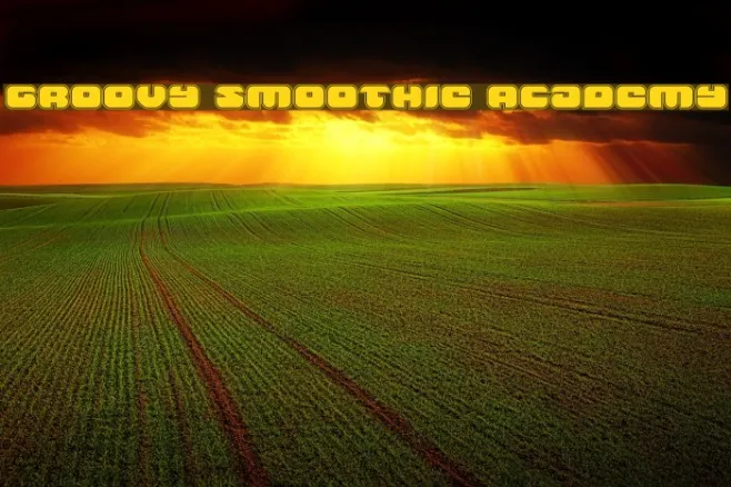 Groovy Smoothie Academy Example 2