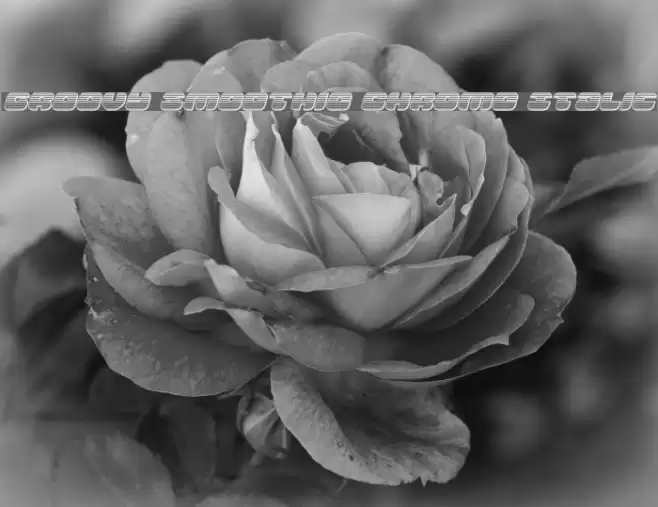 Groovy Smoothie Chrome Italic Font examples