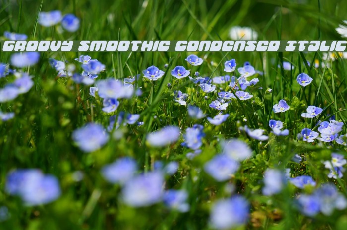 Groovy Smoothie Condensed Italic Font examples