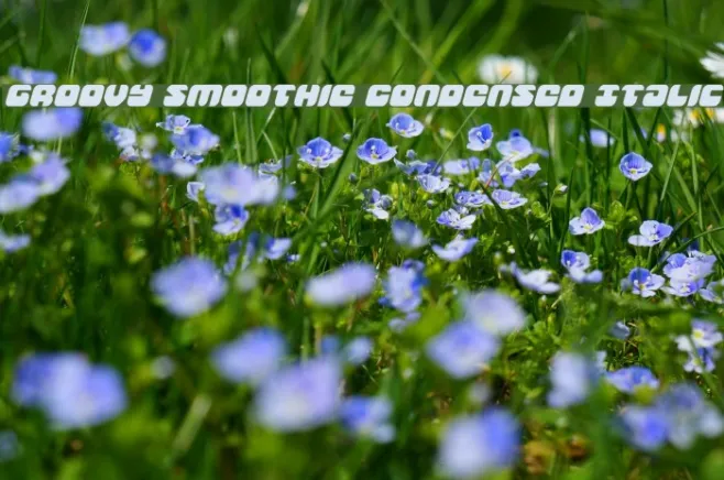 Groovy Smoothie Condensed Italic Example 2