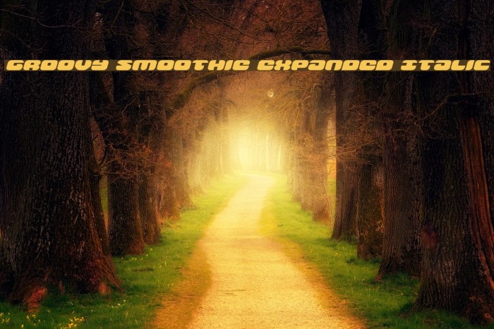 Groovy Smoothie Expanded Italic Font examples
