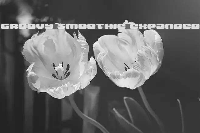 Groovy Smoothie Expanded Font examples