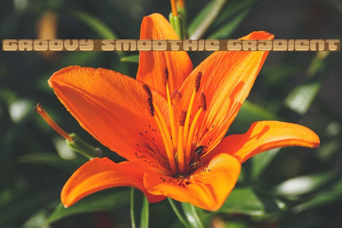 Groovy Smoothie Gradient Font examples