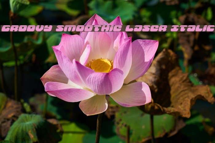 Groovy Smoothie Laser Italic Font examples