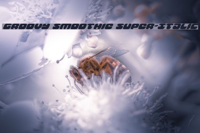 Groovy Smoothie Super-Italic Font examples