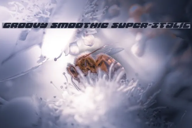 Groovy Smoothie Super-Italic Example 2