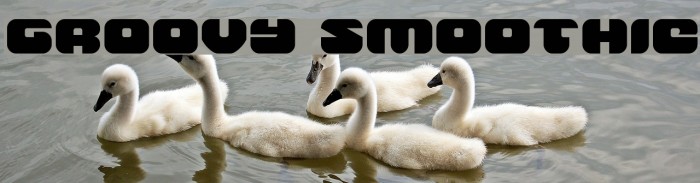 Groovy Smoothie Example 1
