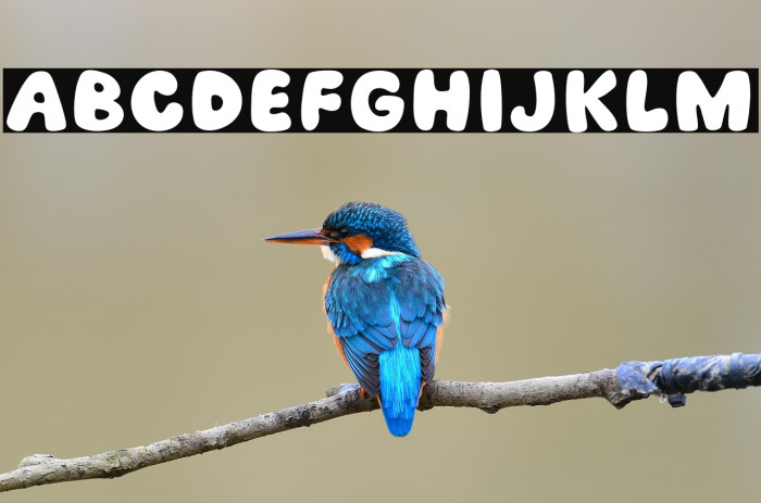 Groovy Vibes Example 2