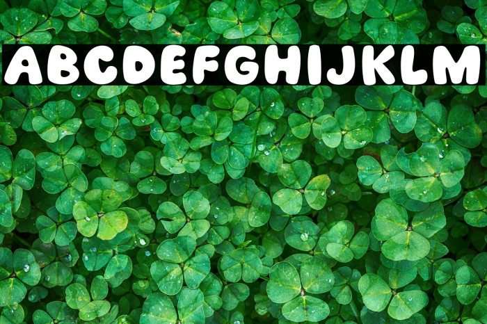 Groovy Vibes Example 3