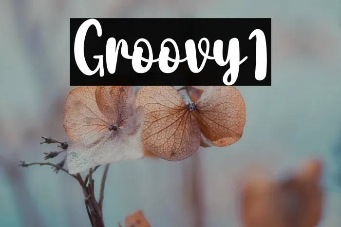 Groovy1 Example 1