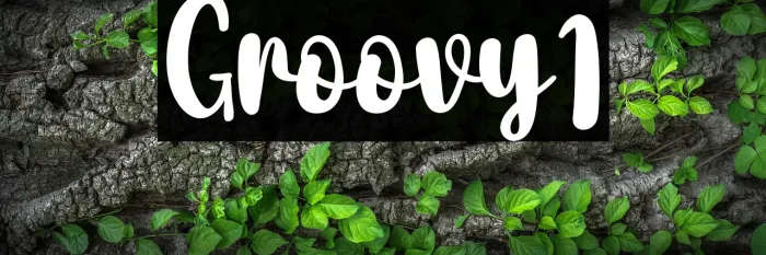 Groovy1 Example 3