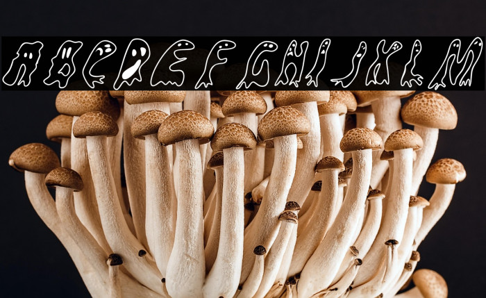 GroovyGhosties-Regular Example 2