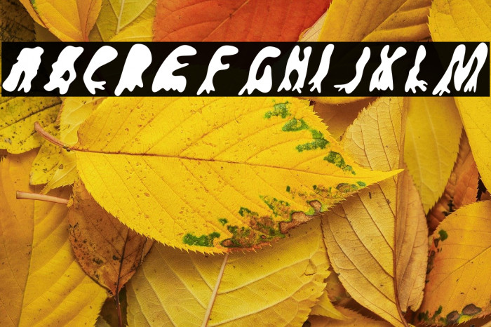 GroovyGhostiesBack-Regular Example 2