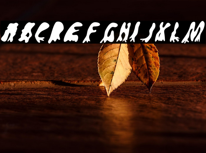 GroovyGhostiesBack-Regular Example 3