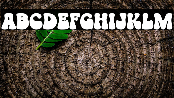 GroovyOrange-Regular Example 2