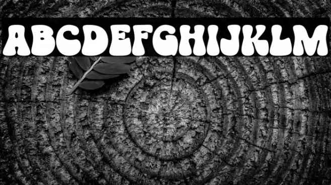 GroovyOrange-Regular フォント examples