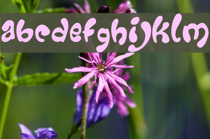 Groovy Font examples