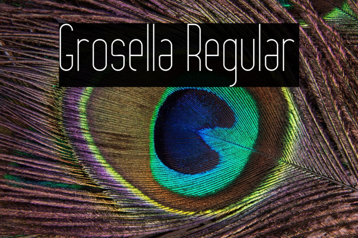 Grosella Regular Example 3