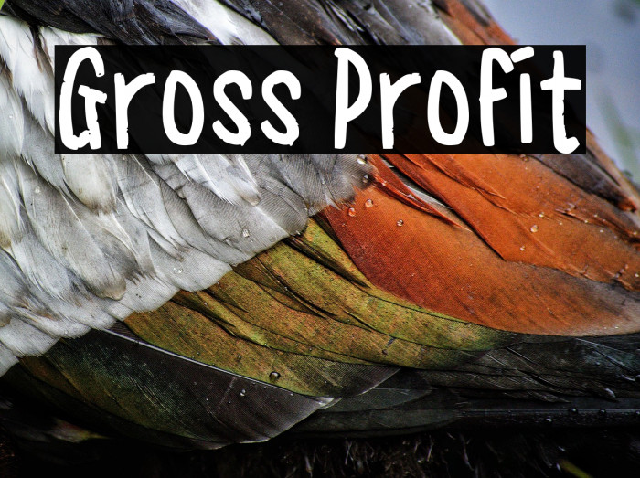 Gross Profit Example 3