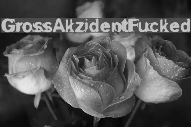 GrossAkzidentFucked Font examples