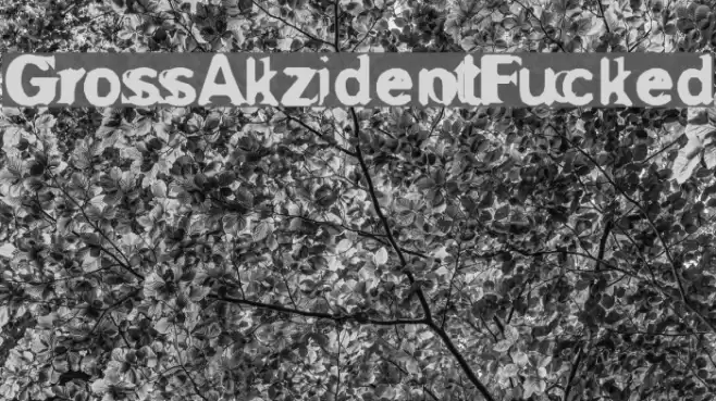 GrossAkzidentFucked Font examples