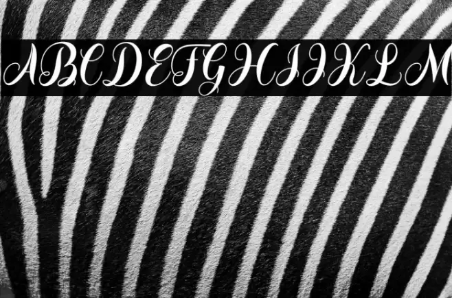 Grossley Font examples