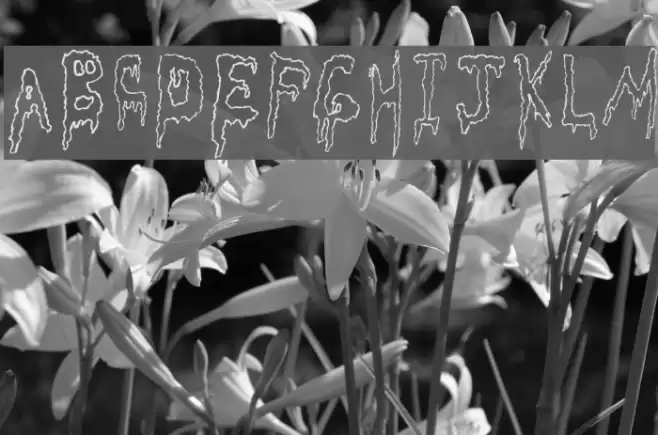 Grossout Font examples