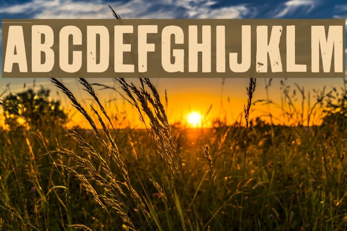 GrotRough Font examples