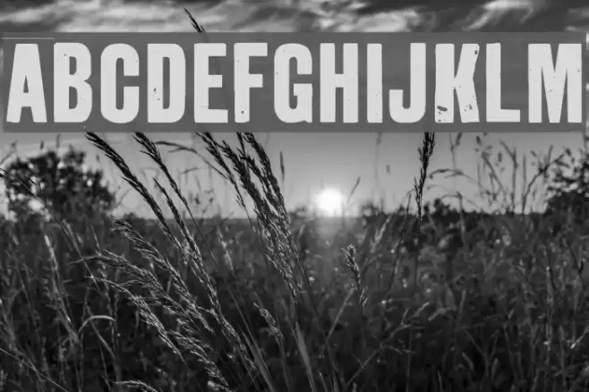 GrotRough Font examples