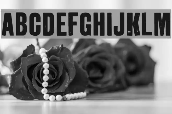 GrotRough Font examples