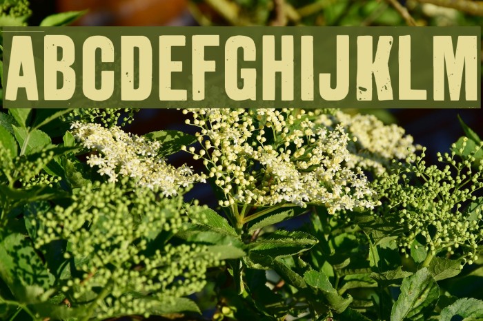 GrotRough Font examples