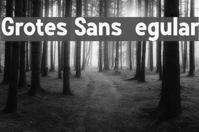 Grotes Sans DEMO Regular Font examples
