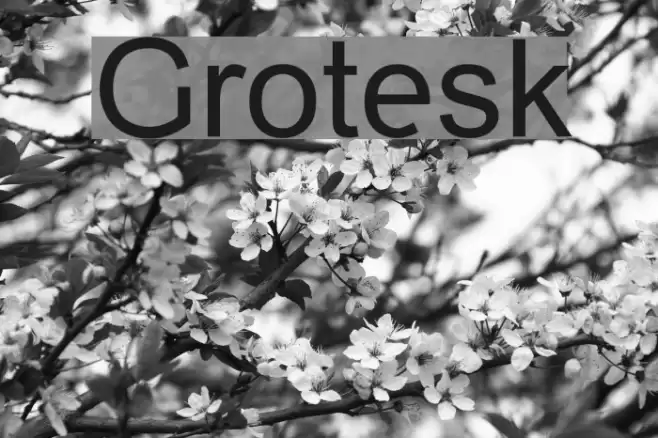 Grotesk Font examples