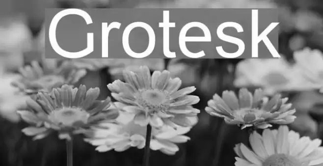 Grotesk Font examples