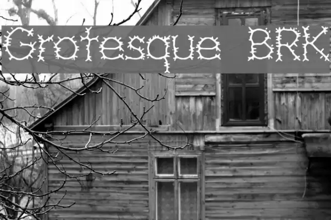 Grotesque BRK Fuentes examples