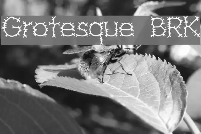 Grotesque BRK Fuentes examples