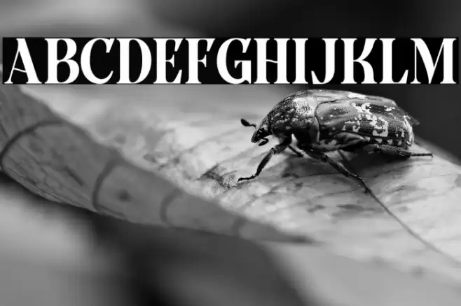 GroundCastleDEMO Font examples