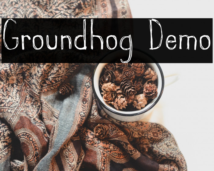 Groundhog Demo Example 1