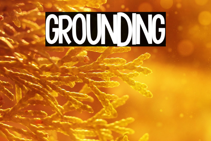 Grounding1 Example 1
