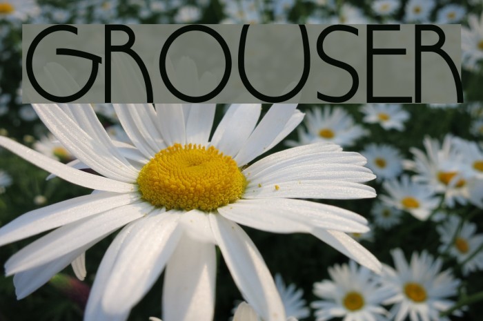Grouser Font examples