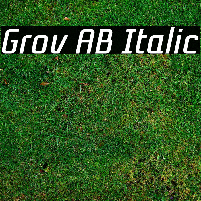 Grov AB Italic Example 1