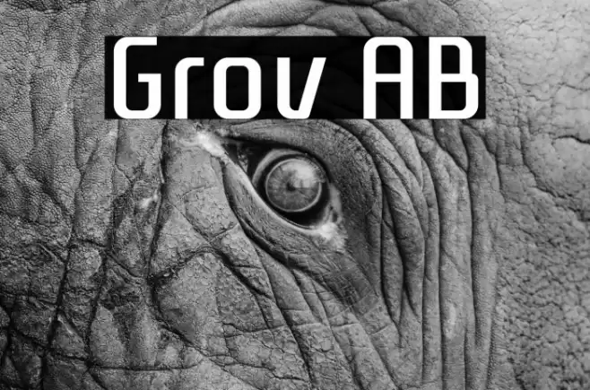 Grov AB Font examples