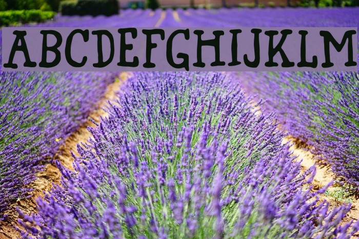 Grovflab DEMO Regular Font examples