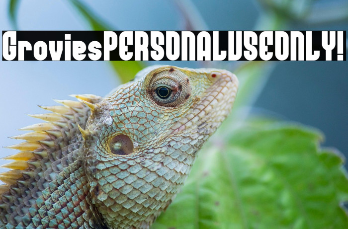 Grovies PERSONAL USE ONLY! Example 1