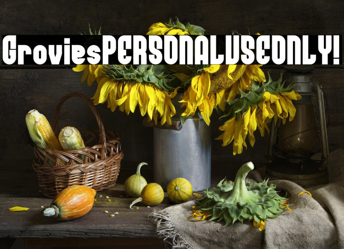 Grovies PERSONAL USE ONLY! Example 2