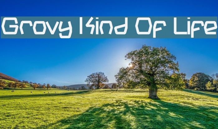 Grovy Kind Of Life Font examples