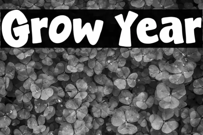 Grow Year خط examples