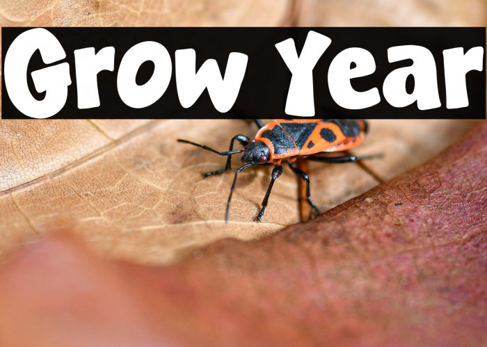 Grow Year Fonte examples