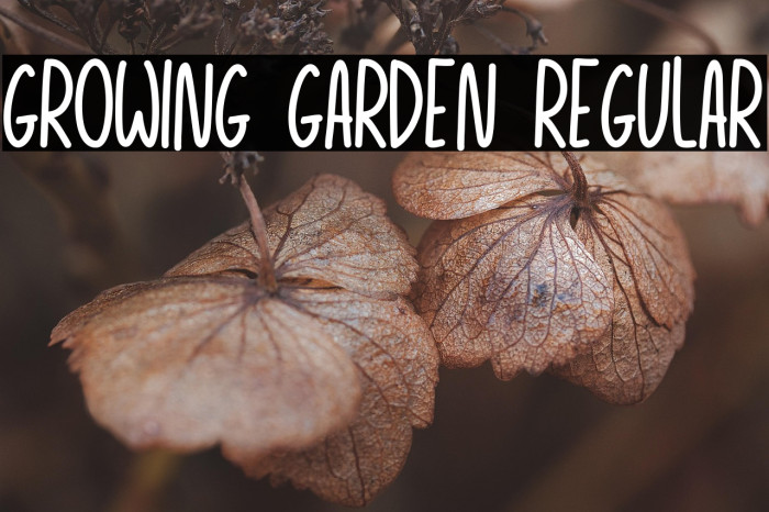 Growing Garden Regular Example 1