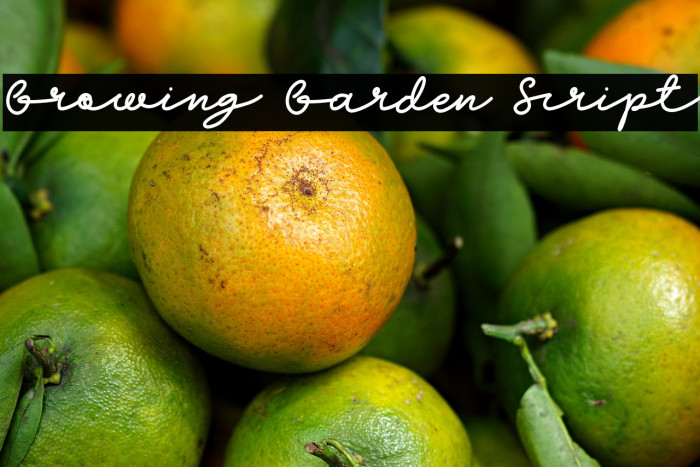 Growing Garden Script Example 1